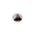 vithoriaviana.com favicon